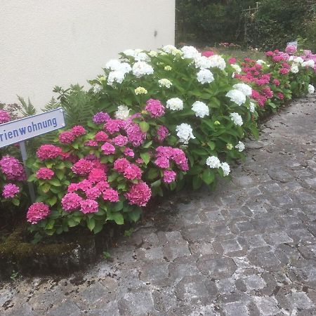 Ferienwohnung Sponheim Traben-Trarbach Bagian luar foto