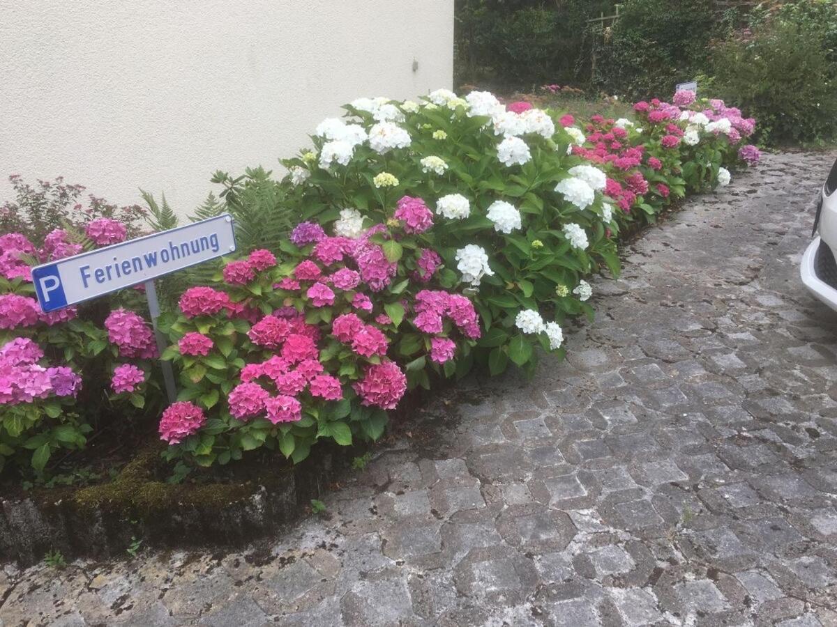 Ferienwohnung Sponheim Traben-Trarbach Bagian luar foto